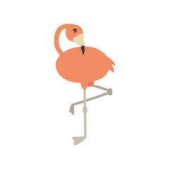 cute flamingo animal vector