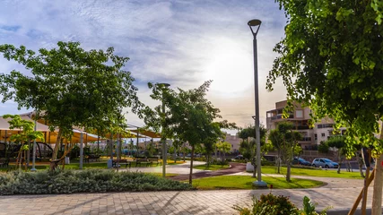 Fototapeten Naturpark israeli local park at the morning sunrise   © Thomas