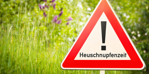 Warnschild mit Ausrufezeichen und Text Heuschnupfenzeit vor Gräsern und Büschen als Hinweis auf...