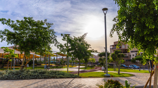 israeli local park at the morning sunrise 
