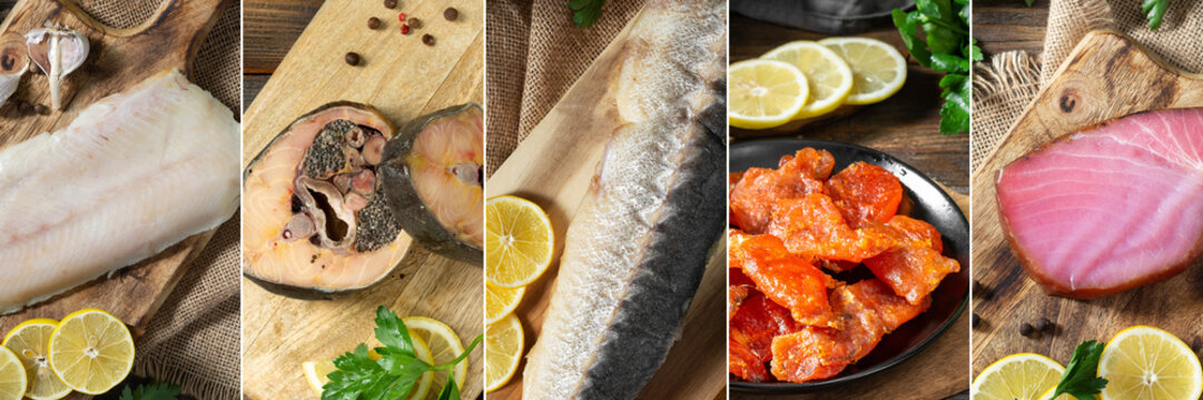 Food collage. Food collage of different photos of fish. Banner with seafood