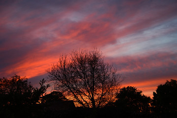 Fototapeta na wymiar Brennender Himmel - Abendrot und romantischer Sonnenuntergang über Sträucher und Bäumen