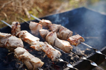 Juicy appetizing pieces of BBQ pork, beef and chicken meat, fried in barbecue grill on skewers.Relax and dinner with friends and family in nature park.Firewood, coals and smoke. Spring holiday picnic