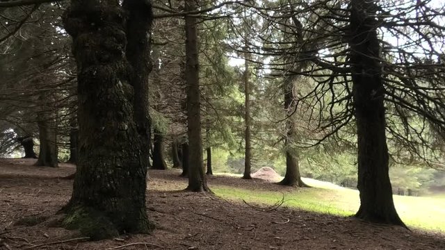 suoni del parco naturale