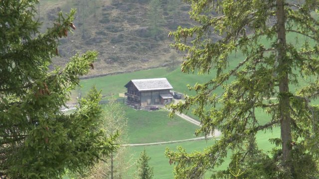 Osttirol, Innervillgraten, Deferegger Alpen, Villgrater Berge, Bergbauernhof, Landwirtschaft, Stra&szlig;e, Alm, Berg, Gipfel, Tal, Lienz, Riepenspitze, Schnee, bl&uuml;hen, wachsen, Schneeschmelze, Fr&uuml;hling, Fr