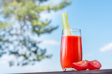 a glass of fresh tomato juice with celery, photographed outdoors, against a blue sky and tree...