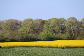 Ackerlandschaft