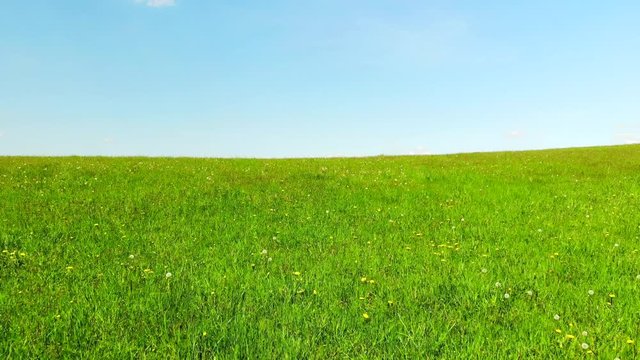 Łąka trawa wiosna maj niebo pole
