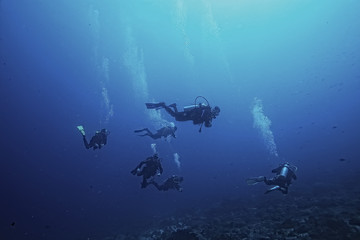 Naklejka na ściany i meble divers in the ocean, underwater sport active recreation in the deep ocean