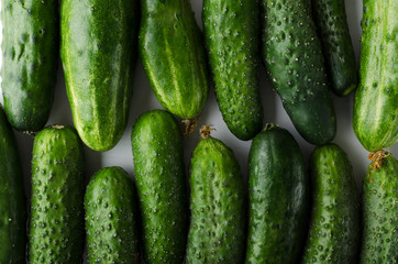 Top view of rows of fresh organic cucumber as a background