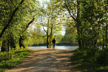 Solitary walk in the park. Lush green foliage that make a shadow on the path.