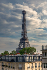 Fototapeta na wymiar Paris, France - May 13, 2020: Haussmann buildings with trees on rooftop and Eiffel tower in background