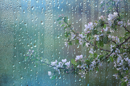 April Showers Images – Browse 3,403 Stock Photos, Vectors, and Video |  Adobe Stock