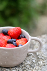 Bowl of strawberries and blueberries in a garden. Selective focus.