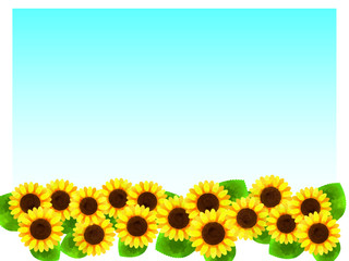 Fototapeta premium ひまわりのコピースペース