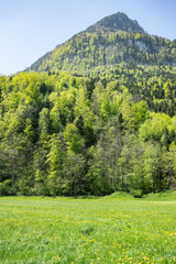 Obraz premium Stanserhorngebirge aus der Sicht des Engelbergertales, Kt. Nidwalden, Schweiz