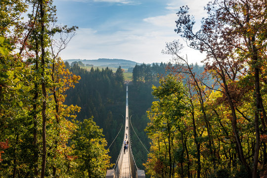 Geierlay suspension bridge.