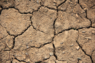 background brown dry earth in cracks