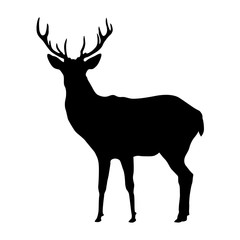 Deer shape, vector design isolated on white background.