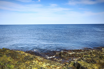 Fototapeta na wymiar lakeside landscape summer view, nature of the north, coast ecology