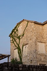 self-isolation house during quarantine of coronavirus (COVID-19)