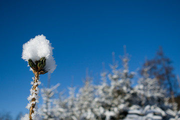 Eiskristall, Winterlandschaft, Himmel
