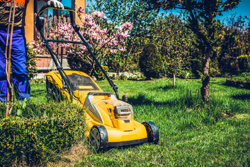 Fototapeta na wymiar Mowing the grass. A man mows the grass with an electric mower. The concept of working in the garden and caring for the beauty of the garden. The gardener mows the grass with a battery mower.