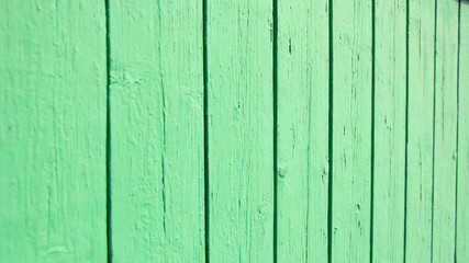 Naklejka premium background light green wall from boards in perspective