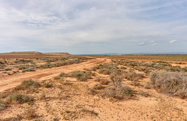 landscape in the desert