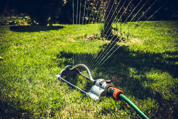 Sprinkler grass irrigation. Soil irrigation with water in the garden, the concept of care for the beauty of the garden, allotment season. Gardener cares for proper moisturizing of the soil.