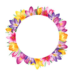 Watercolor round frame with yellow, pink, violet, purple crocuses on white background isolated. Nice design for spring, wedding, lovely cards and another printed products. Beautiful colorful element