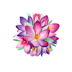 Watercolor violet purple pink
bouquet of crocuses on white backgrond isolated. Nice spring element for cards textile posters patterns and another printed products design. Cute element for your design.
