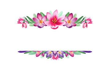 Watercolor frame with pink, violet, purple crocuses on white background isolated. Nice design for spring, wedding, lovely cards and another printed products. Beautiful elements for your design.