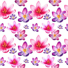 Fototapeta na wymiar Seamless watercolor pattern with pink, purple, violet crocuses on white background. Good texture for textile design and printed products design. Colorful, bright, spring flowers for your design.