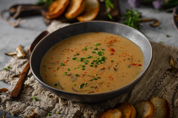 Fox mushrooms soup