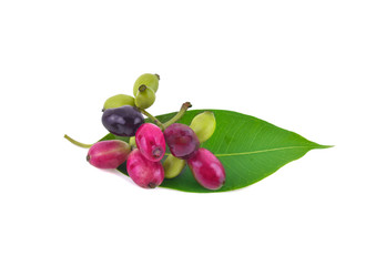 Jambolan plum or Java plum on white background