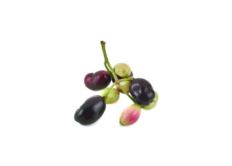 Jambolan plum or Java plum isolated on white background