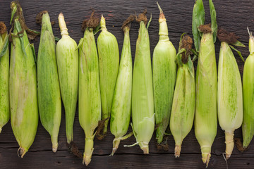 sweet corn, grain food, fresh corn, drawn , wood background, grilled corn, sweet corn, yellow corn
