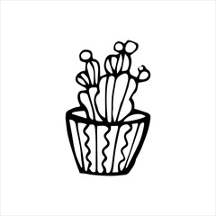 Plants, cactus in a pot, flowers in a pot and a bee. Cute drawing by hand. Vector illustration in doodle style. Isolate on a white background.
