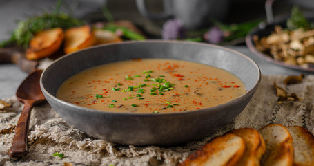 Fox mushrooms soup