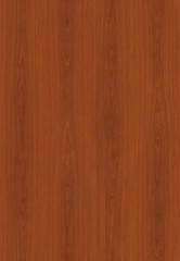 detailed natural wood texture background