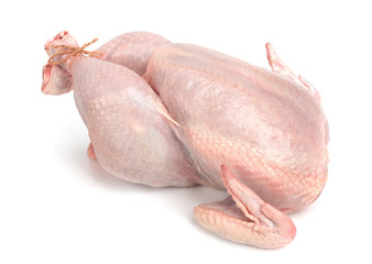 Fresh raw chicken isolated. White meat.