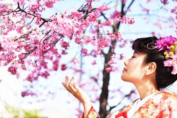 日本庭園の桜の花と色打掛を着た女性