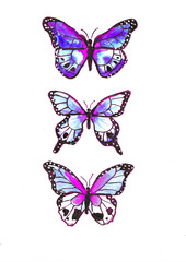 Obraz na płótnie Canvas 3 purple butterflies