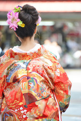 Fototapeta premium 色打掛を着た女性の後ろ姿