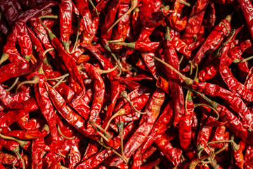 indian red hot chili pepper