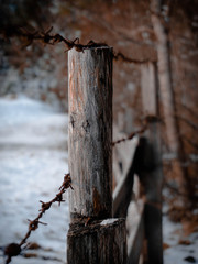 Fence with barbed wire in the forest. Autumn Style