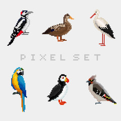 Pixel birds for games icons high detailed vector set