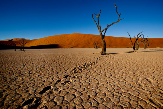 sossusvlei namibia, desert landscape