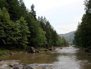 Shallow mountain river in the middle of the forest.